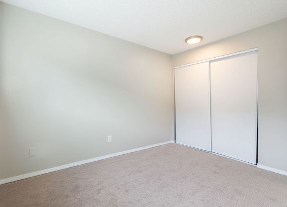 A room with a white wall and a carpeted floor.