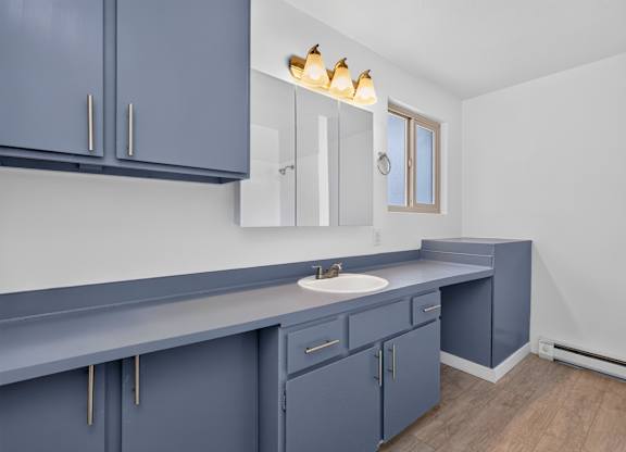 A kitchen with blue cabinets and a white sink.