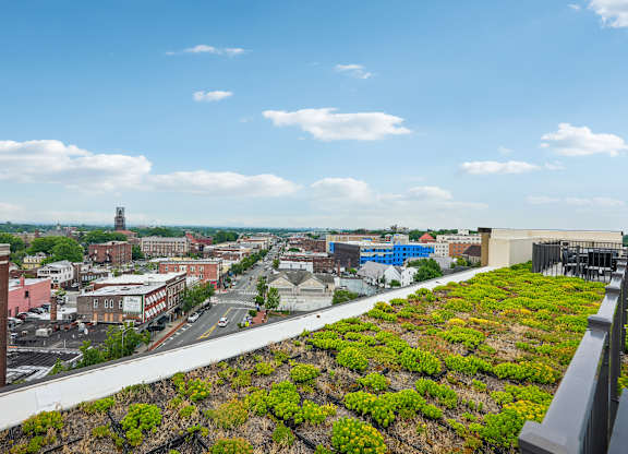 Valley and Bloom Apartments Rooftop View