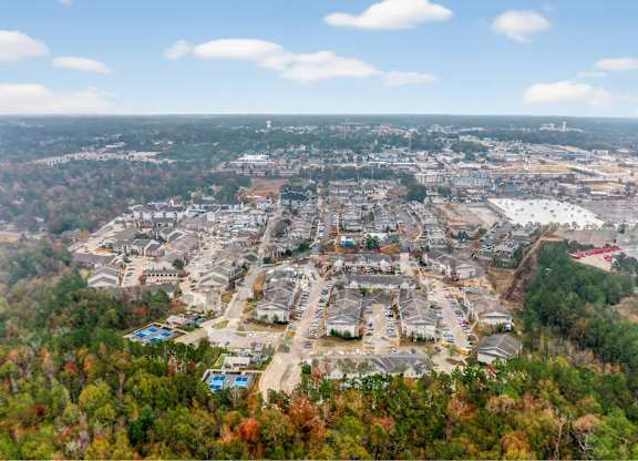 A bird's eye view of a residential area surrounded by trees.