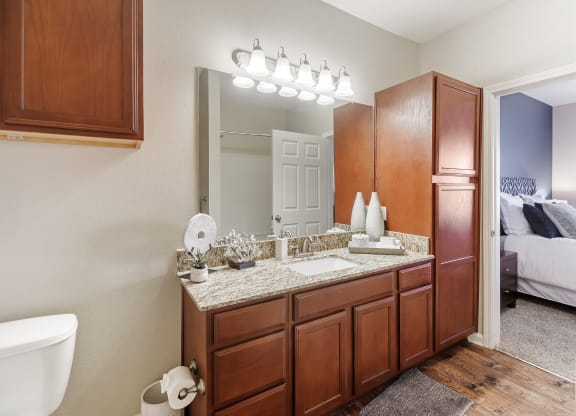a bathroom with a sink and a toilet and a mirror at Cumberland Place Apartment Homes, Tyler 75703