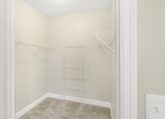 Spacious closet in a bedroom with white walls and a ladder in the closet at Highlands Apartment Homes, Tennessee , 38135