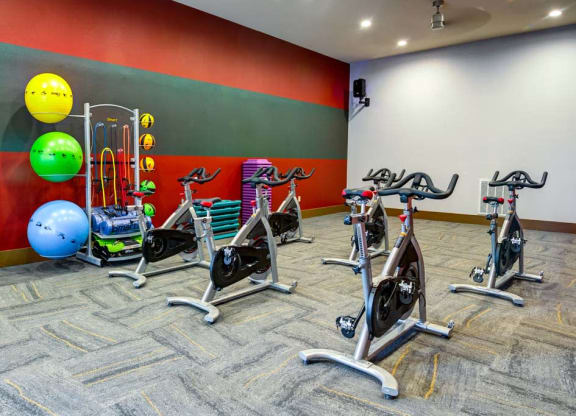 the gym at the apartments for rent at The Retreat Apartment Homes in North Dakota 58801
