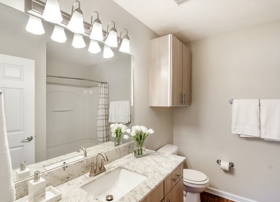 a bathroom with a sink and a toilet and a mirror at Bridgewater Apartment Homes, Brandon, 39047