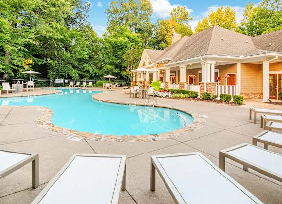 A large outdoor swimming pool surrounded by sun loungers and trees.