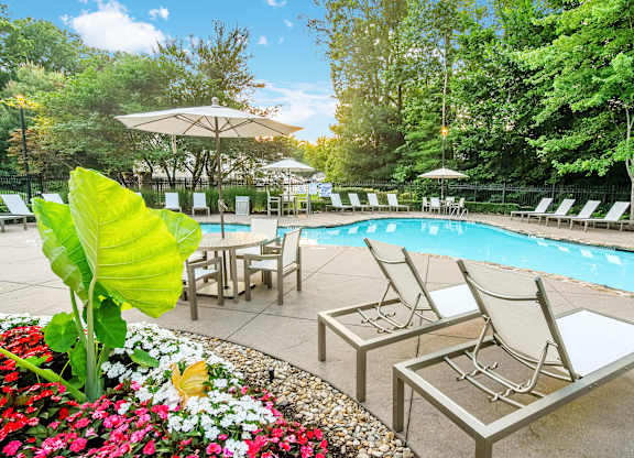 A pool surrounded by trees and chairs.