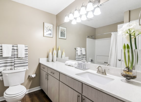 the preserve at ballantyne commons apartments bathroom with sink and toilet at Crossgates Apartment Homes, Starkville, 39759