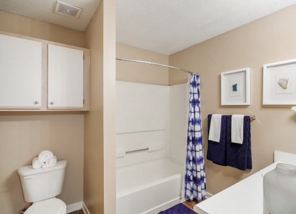 a bathroom with a shower and a toilet and a sink at Lexington Pointe Apartment Homes in Mississippi 38655