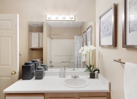 a bathroom with a sink and a mirror and a shower at Lexington Pointe Apartments in Oxford, MS 