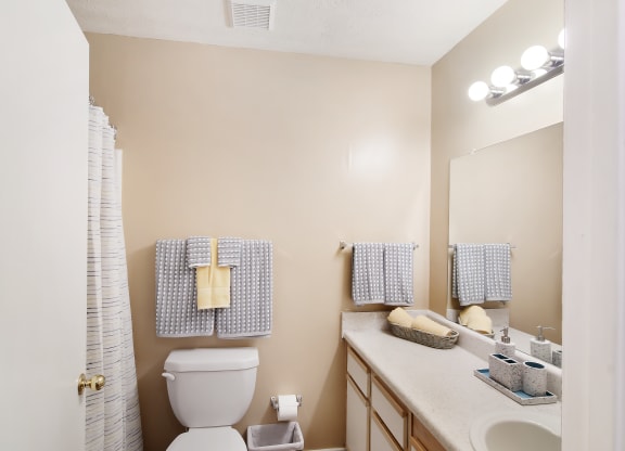 a bathroom with a toilet and a sink and a mirror at Parklane Apartment Homes, McComb, Mississippi