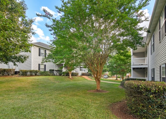 Lush Green Landscape at Parklane Apartment Homes, McComb, 39648