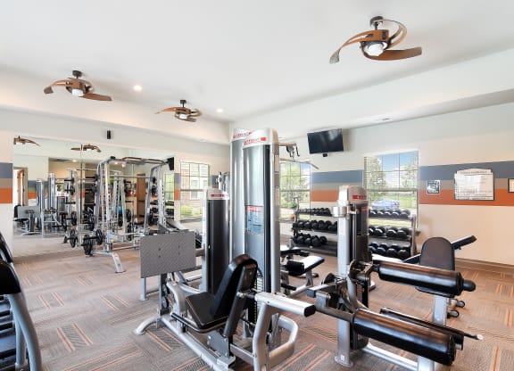 a gym with weights and cardio machines and a television at Audubon Park Apartments in Zachary