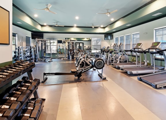 High Endurance Fitness Center at Wellington Grande Apartment Homes, Texas