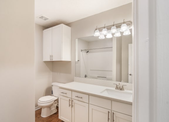 a bathroom with a sink and a toilet and a mirror at The Woodlands Apartment Homes, Meridian, 39301