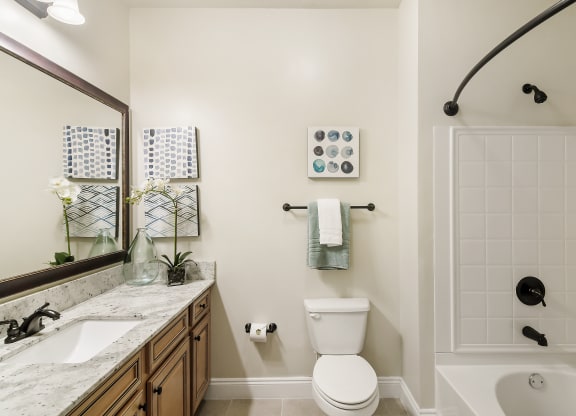 a bathroom with a toilet sink and shower and a mirror at Charleston Apartment Homes, Mobile, 36695