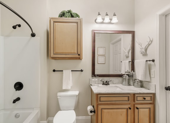 a bathroom with a toilet and a sink and a mirror at Charleston Apartment Homes, Mobile, AL 36695