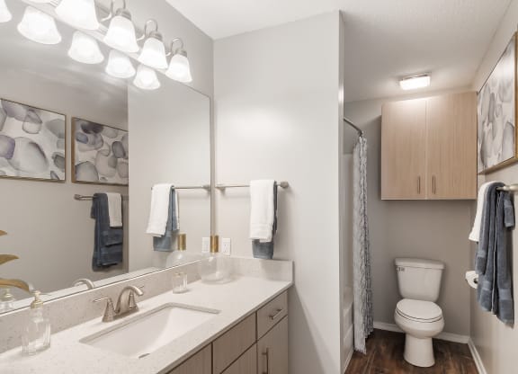 a bathroom with a toilet and a sink and a mirror at Parkwest Apartment Homes, Hattiesburg, MS, 39402