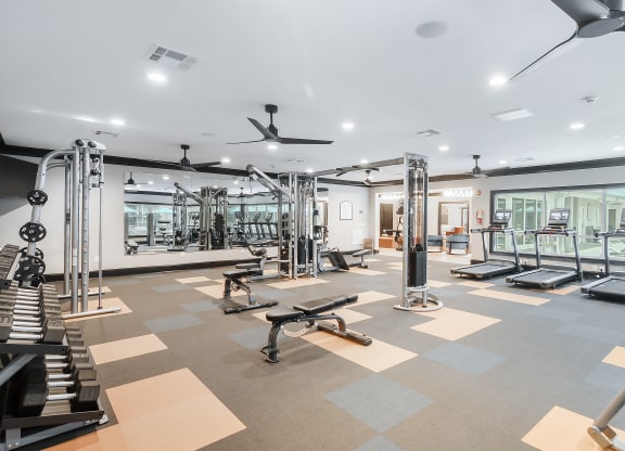 a gym with weights and cardio equipment and glass walls at The Woodlands Apartment Homes, Meridian