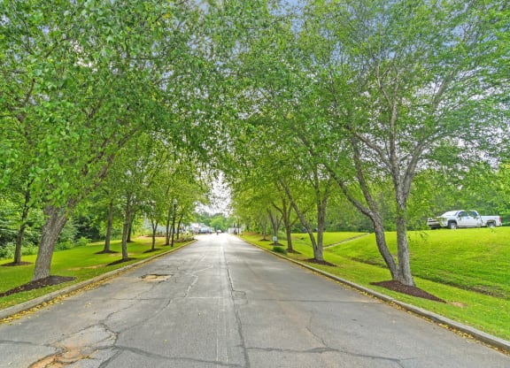 a tree lined street with green grass and trees on both sides at The Woodlands Apartment Homes, Mississippi