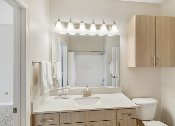 Bathroom at Legacy Apartments in Ridgeland, MS