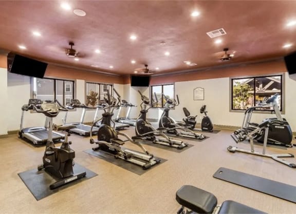 a gym with various pieces of exercise equipment and windows at Reserve at Gulf Hills Apartment Homes in Ocean Springs, Mississippi 39564