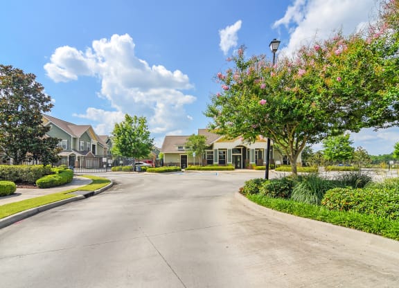 an empty street in a neighborhood with houses and trees at Audubon Park Apartment Homes, Zachary, 70791