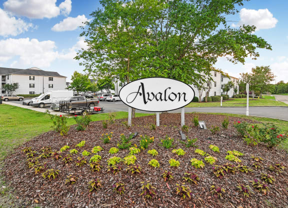 our sign in front of our apartments in the community at Avalon Apartment Homes, Starkville, MS