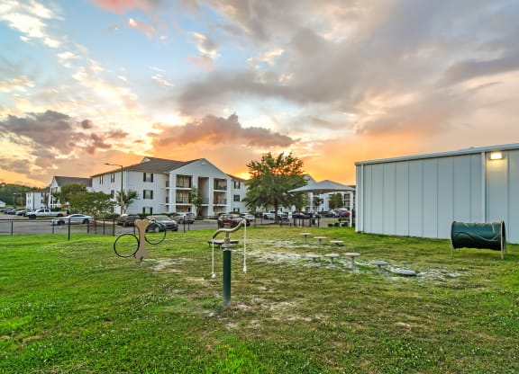 community with bikes in the grass at Avalon Apartment Homes, Starkville, Mississippi