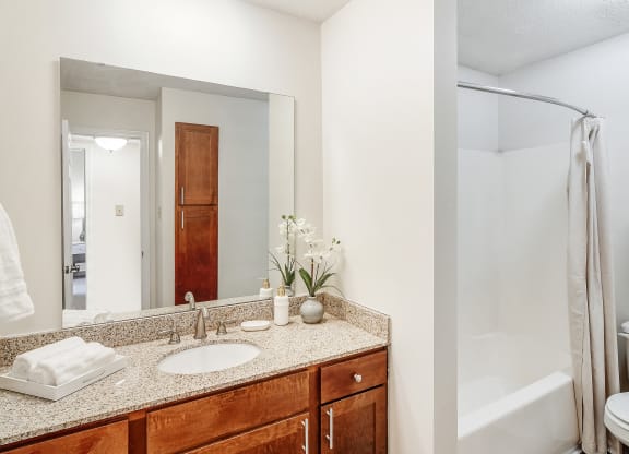 a bathroom with a sink and a mirror and a shower at Cambridge Station Apartment Homes, Oxford