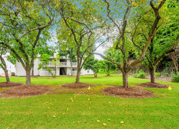 a group of trees in the grass in front of a building at The Oliver Apartment Homes, Mississippi