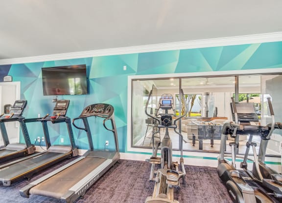 a gym with cardio machines and a television at The Vineyard of Olive Branch Apartment Homes, Olive Branch, MS