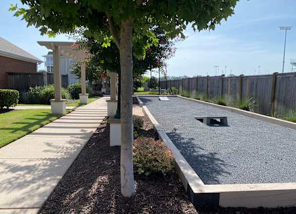 A tree in a concrete planter stands next to a concrete path.