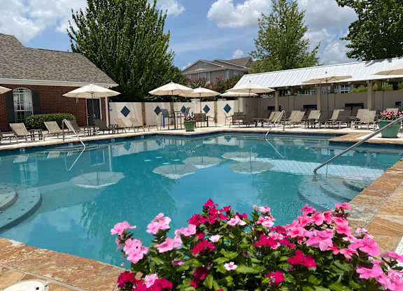 A pool surrounded by chairs and umbrellas with flowers in the foreground.