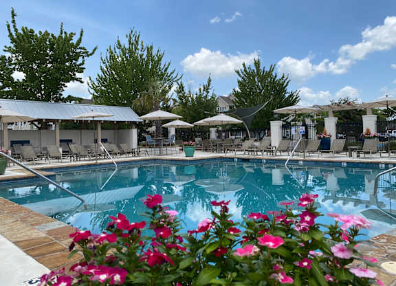 A pool surrounded by flowers and umbrellas.