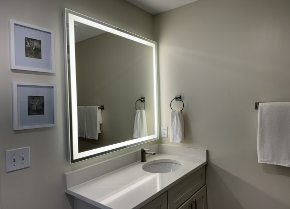 a bathroom with a sink and a large mirror at The Vineyard at Castlewoods Apartment Homes in MS 39047