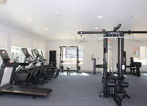 A gym with treadmills, elliptical machines, and weight machines.
