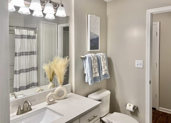 a bathroom with a large mirror and a toilet and sink at Reserve at Park Place Apartments, Hattiesburg, MS, 39402