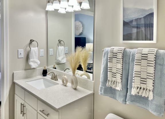a bathroom with a sink and a mirror and a towel rack at Reserve at Park Place Apartments, Hattiesburg, Mississippi