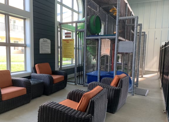Fun Indoor Playground at The Retreat Apartment Homes, Williston, North Dakota