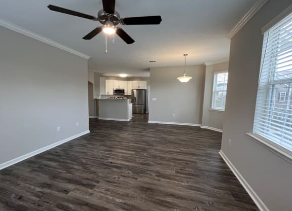 Spacious Living area  at Carlton Park Apartment Homes, Mississippi