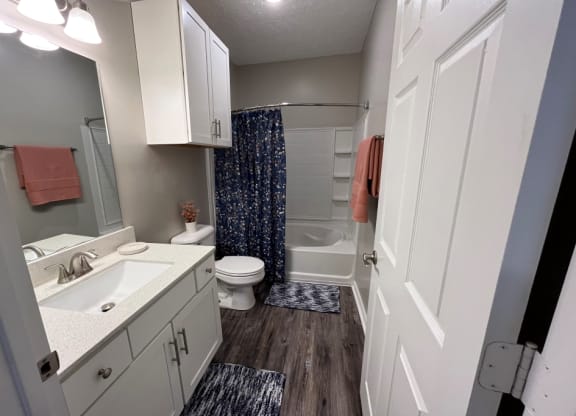 Large Bathroom at Carlton Park Apartment Homes, 39232