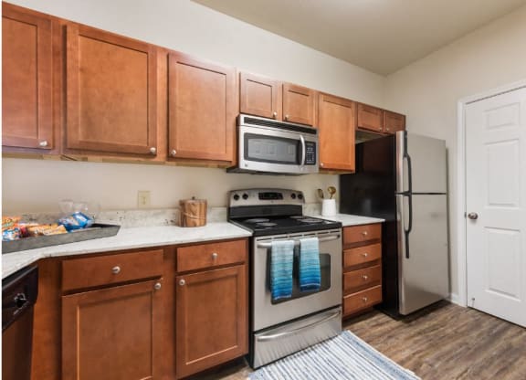 Kitchen Appliances at The Madison of Tyler Apartment Homes, Texas