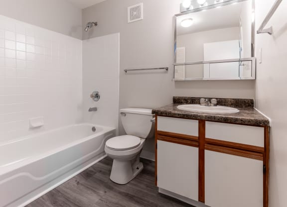 a bathroom with a toilet and a tub and a sink