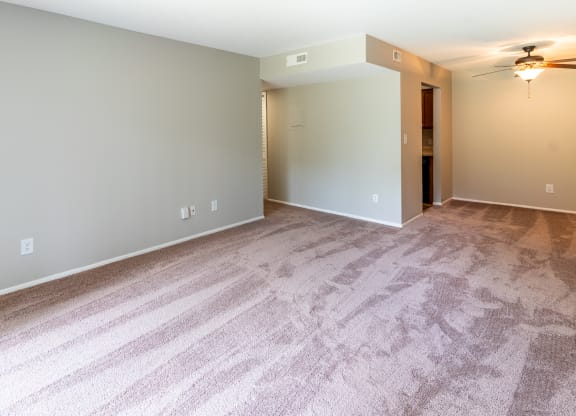 Plush Carpeting at Crestview at Louisville Apartments, Kentucky, 40217