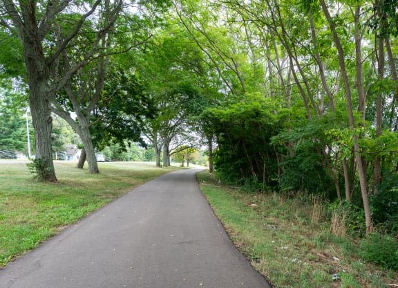 a path through a park with trees and grass