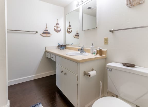 a bathroom with a sink and a toilet and a mirror