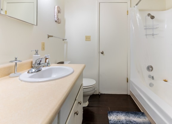a bathroom with a sink and a shower and a toilet