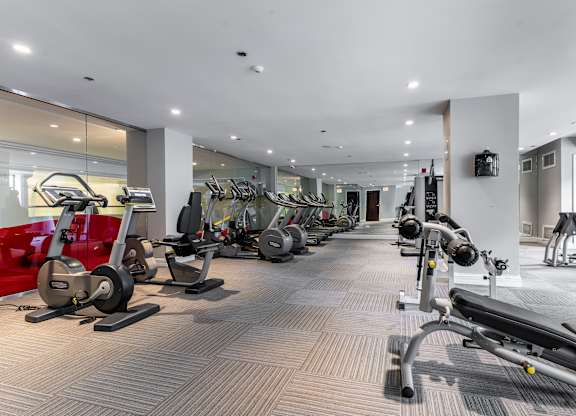 a gym with cardio machines and weights on the floor