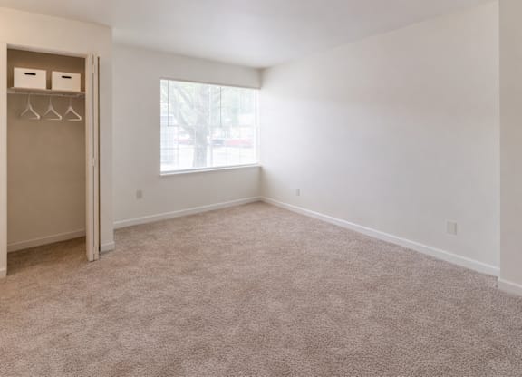A room with a carpeted floor and a window.