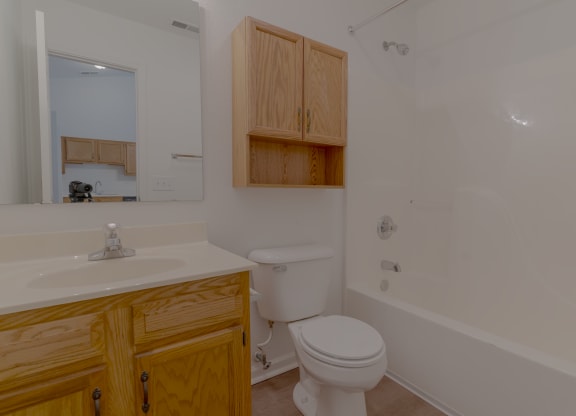 a bathroom with a sink toilet and a bath tub
